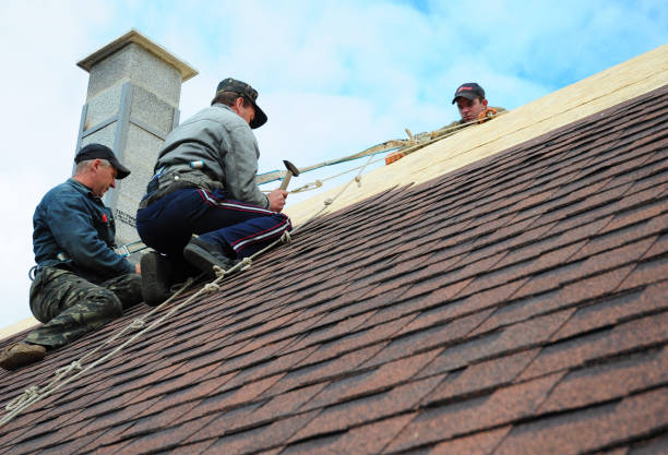 Roof Gutter Cleaning in East Farmingdale, NY